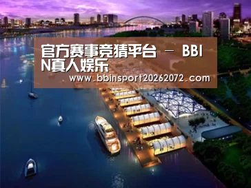 案例展示八