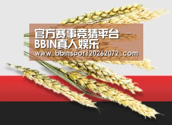 官方赛事竞猜平台 - BBIN真人娱乐