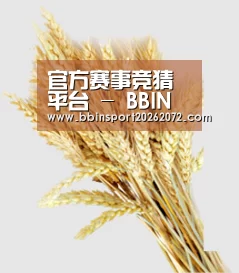 官方赛事竞猜平台 - BBIN真人娱乐
