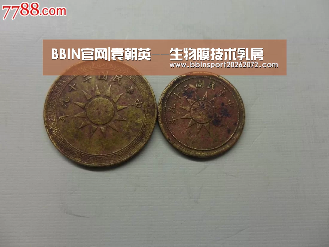 BBIN国际厅