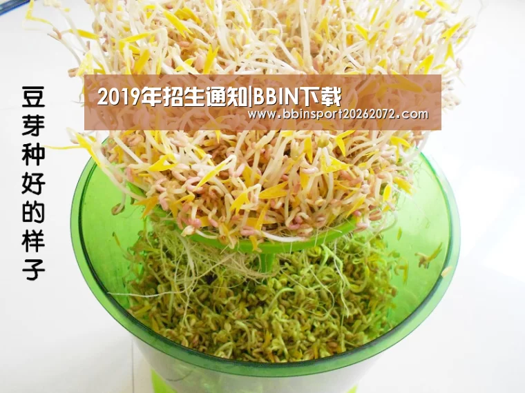 BBIN下载
