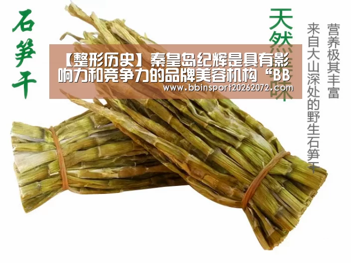 BBIN下载